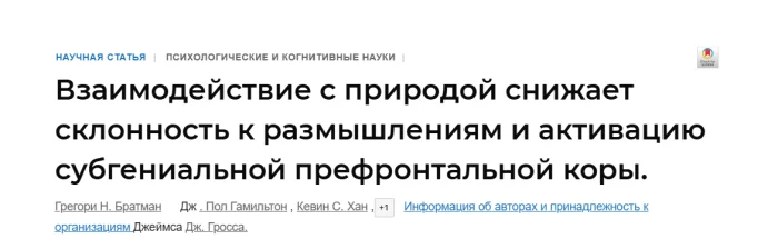 Ходьба против «успешного успеха»: что реально помогает мозгу
