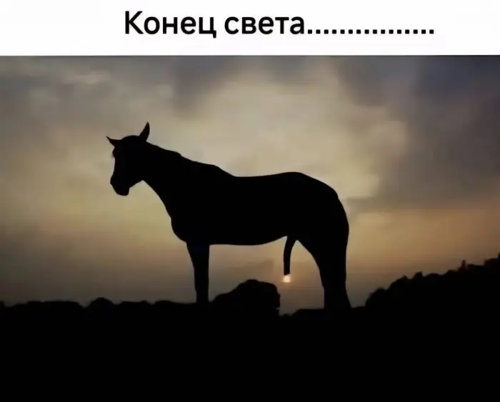 Пошлые мемы и чёрный юмор 18+ | Подборка #242