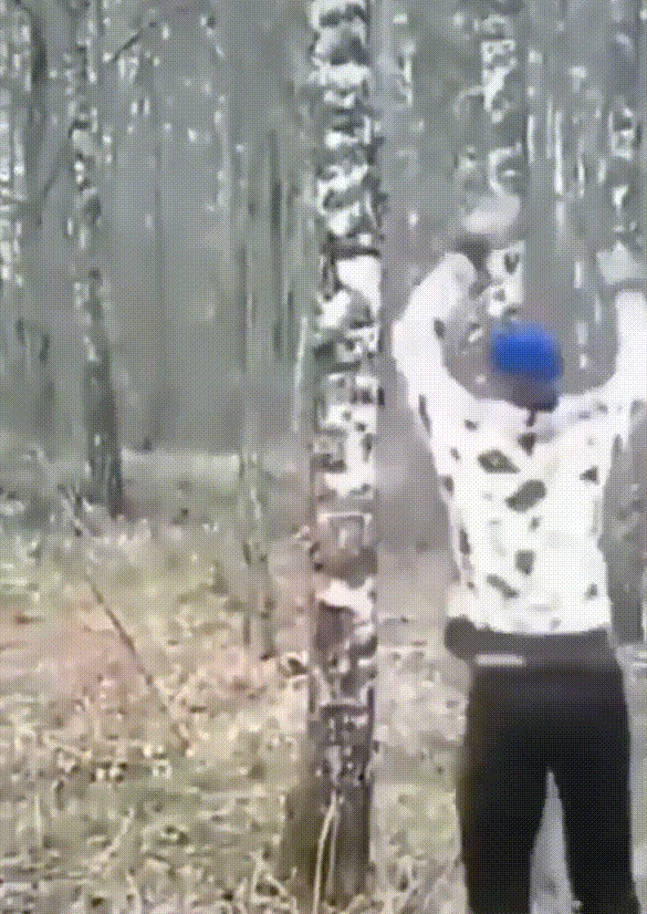 Разные гифки для настроения