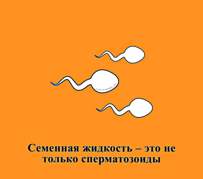 Сексуальная правда: 15 фактов, которым не научат в школе #332