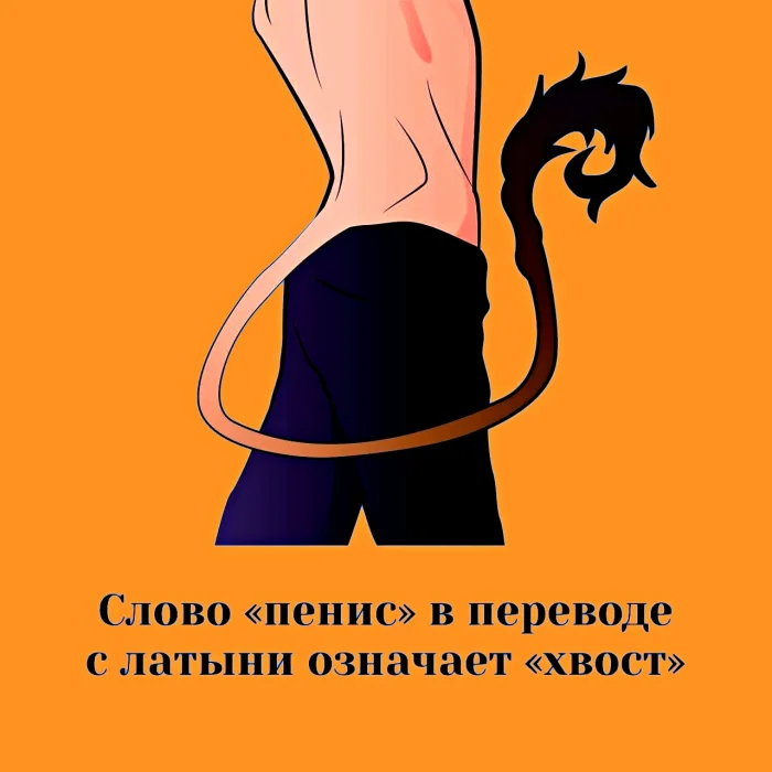 Сексуальная правда: 15 фактов, которым не научат в школе #379