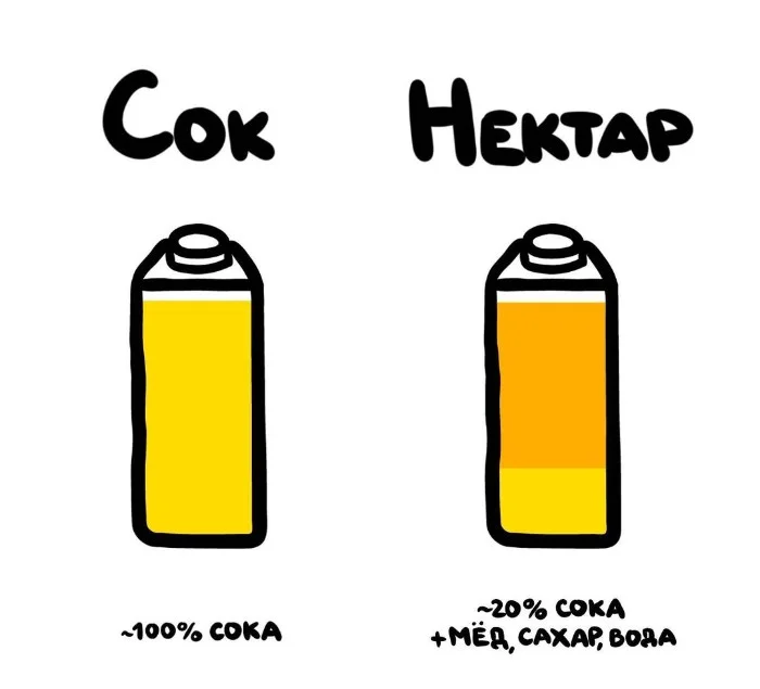 Слова, которые часто путают: в чём разница #51