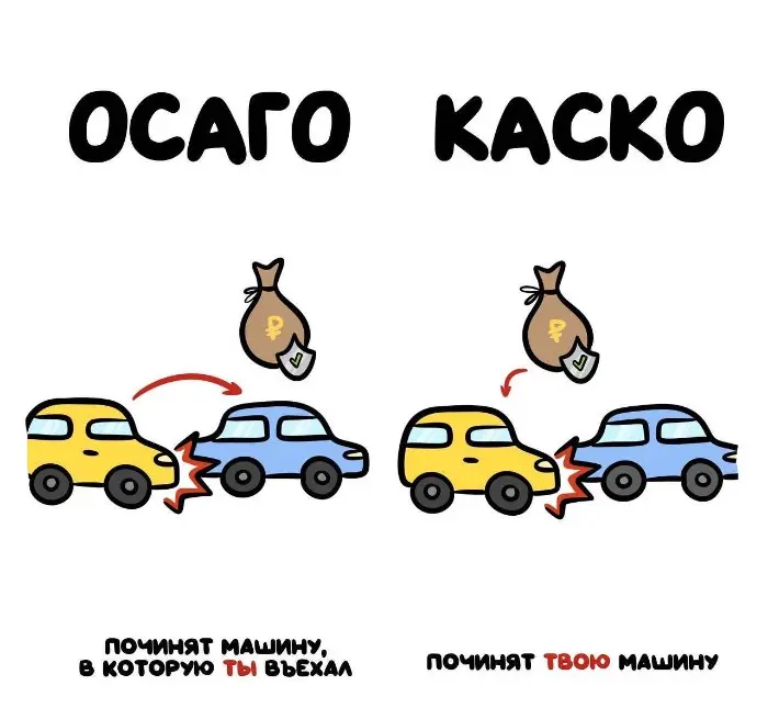 Слова, которые часто путают: в чём разница #57