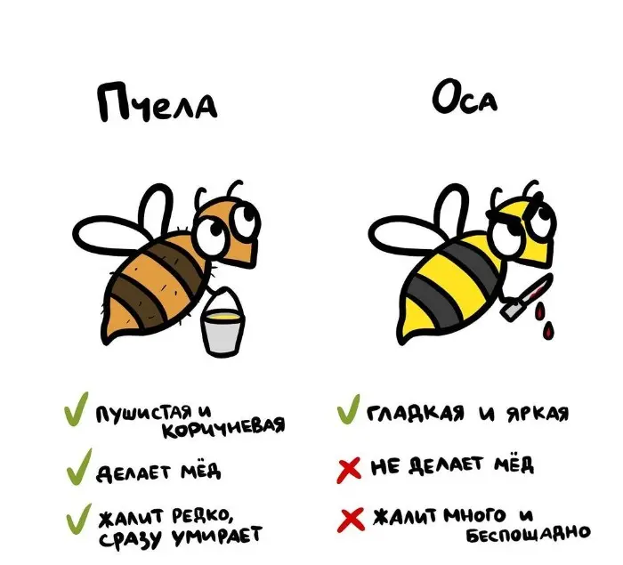 Слова, которые часто путают: в чём разница #71