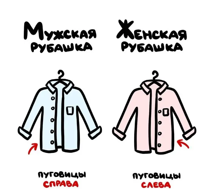 Слова, которые часто путают: в чём разница #74