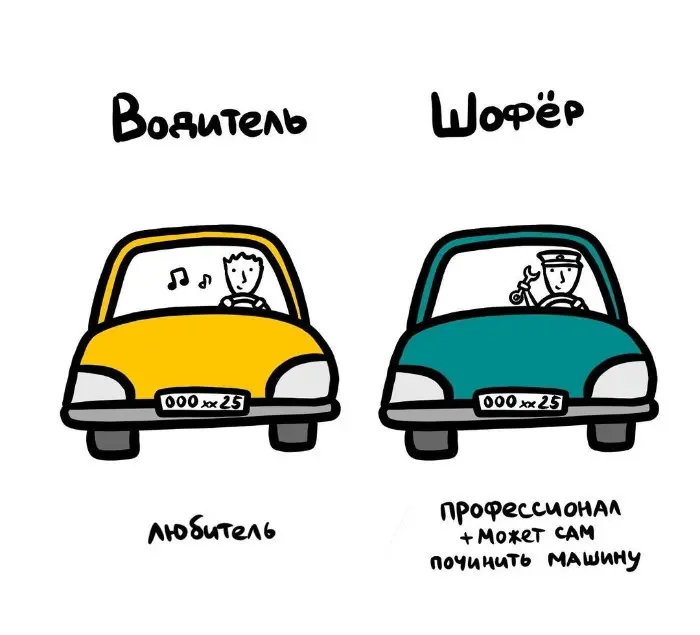 Слова, которые часто путают: в чём разница #82