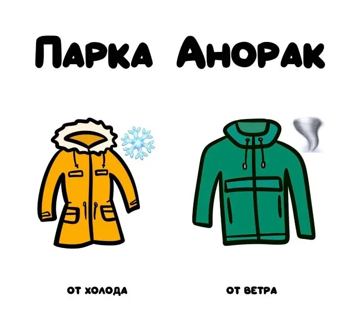Слова, которые часто путают: в чём разница #86