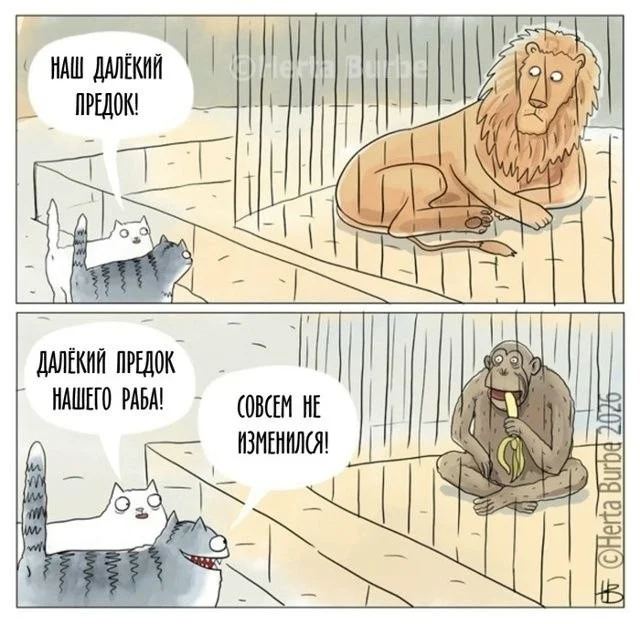 Свежий юмор и баяны