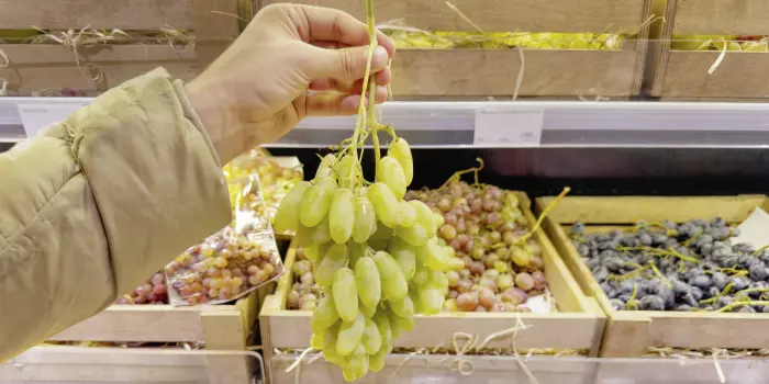 Топ-9 вкусных сортов винограда, которые точно не подведут при покупке