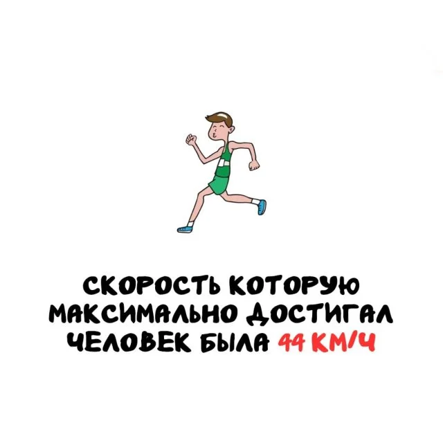 Удивительные факты для разных ситуаций