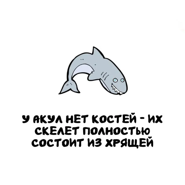 Удивительные факты обо всём на свете
