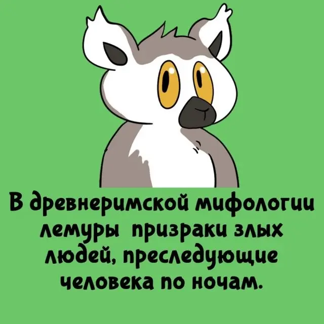 Вещи, о которых ты мог даже не догадываться