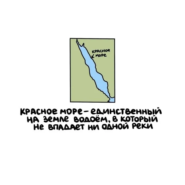 Знали ли вы, что…