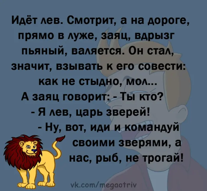 Подборка добрых анекдотов для поднятия настроения