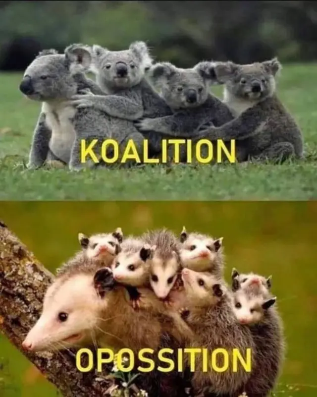 Картинки для смеха