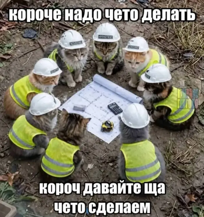Порция юмора: мемы и смешные картинки