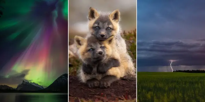 18 лучших снимков фотоконкурса Canadian Geographic