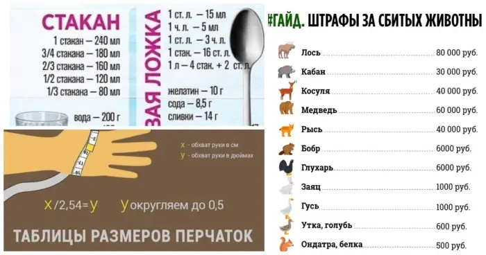 25 практических лайфхаков от бытовых мелочей до важных знаний