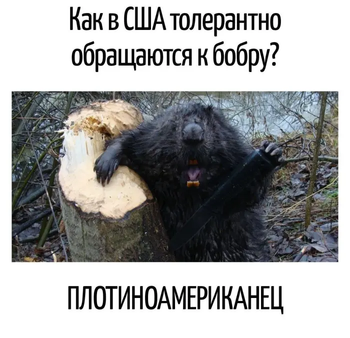 Игра слов – каламбуры, словесный юмор и прикольные картинки #238