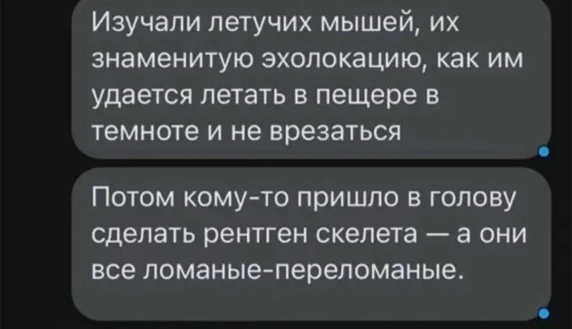 Картинки для деградации