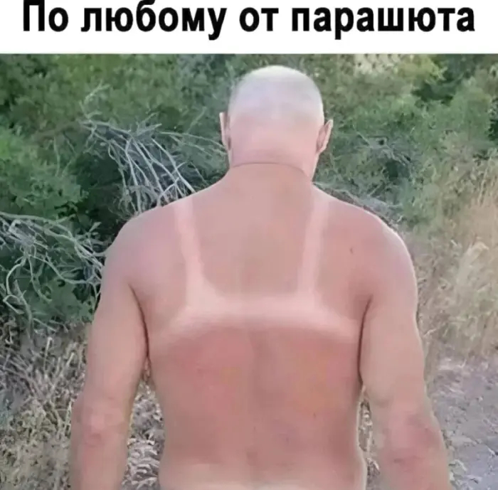 Когда мемы и картинки делают день лучше