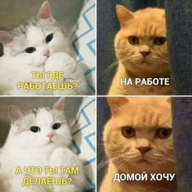 Мемотерапия начинается