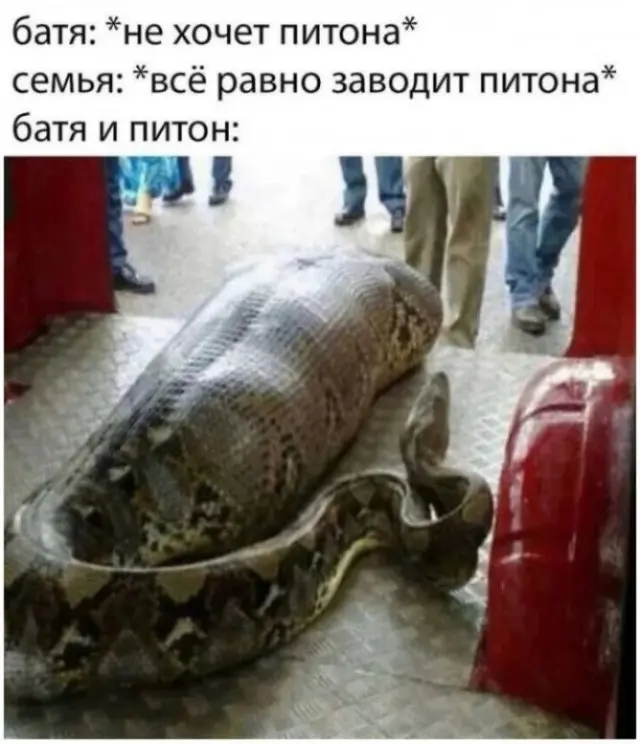 Мемы, которые заслуживают лайка
