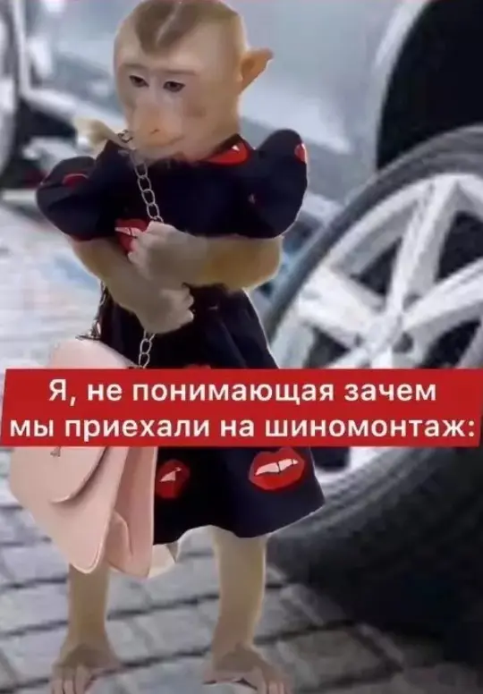 От баянов до мемов: подборка для хорошего настроения