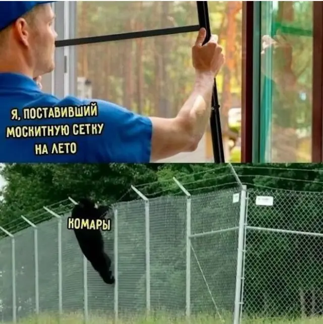 Подборка юмора для хорошего настроения