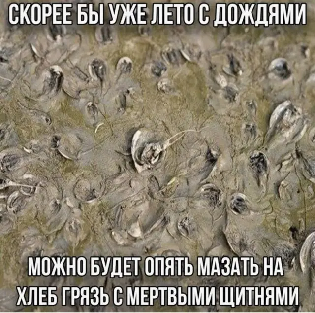 Подборка смешных картинок и мемов на сегодня