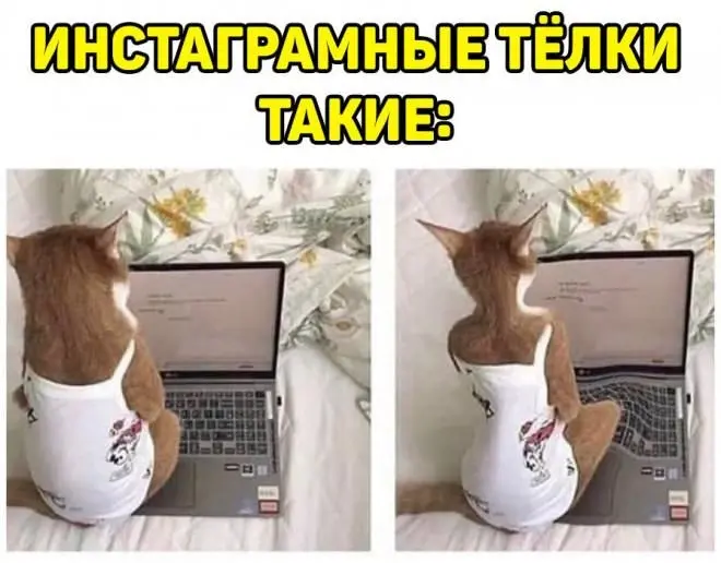 Порция юмора, мемов и странных картинок