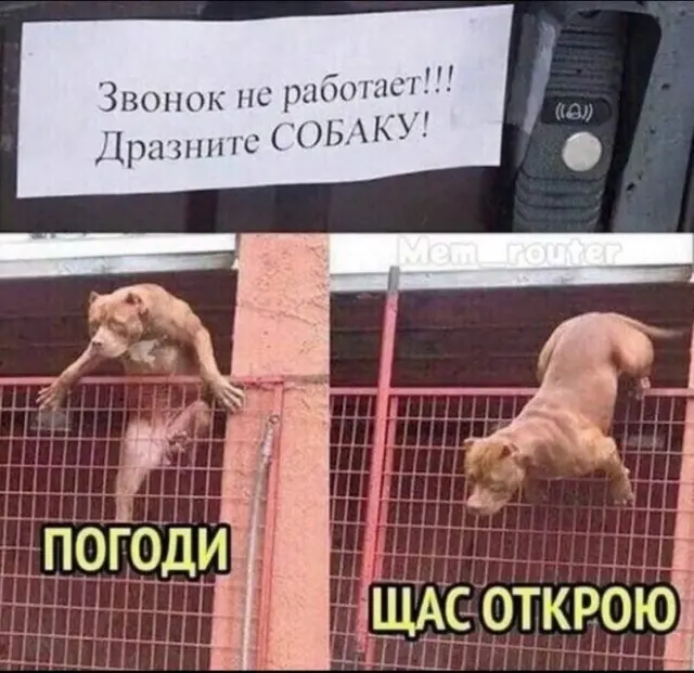 Порция веселых картинок и забавных баянов