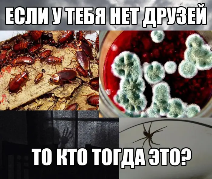 Пошлые мемы и чёрный юмор 18+ | Подборка #266