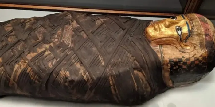 «Позолоченная леди»: учёные воссоздали лицо мумии возрастом 1500 лет