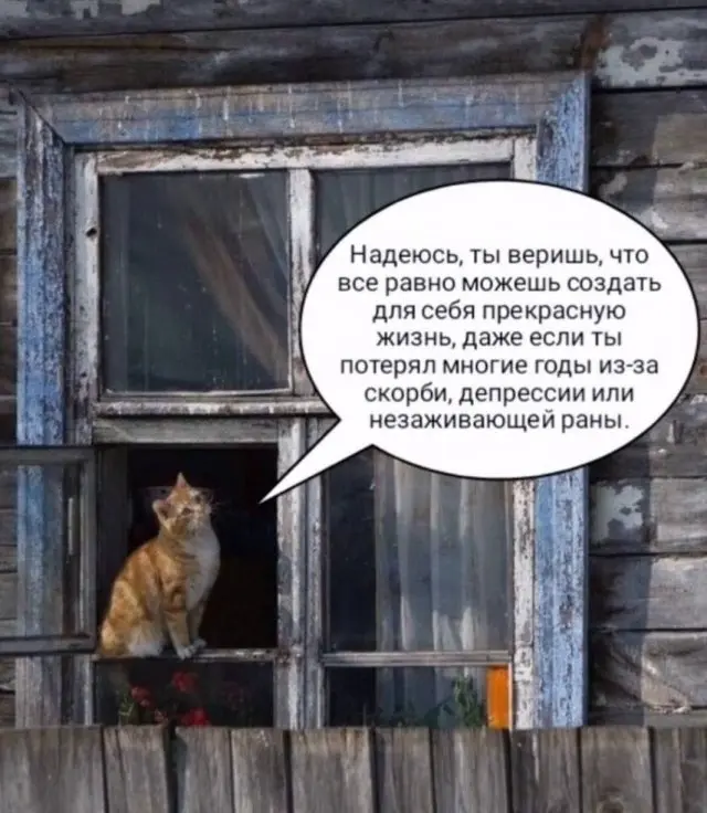 Шутки и мемы