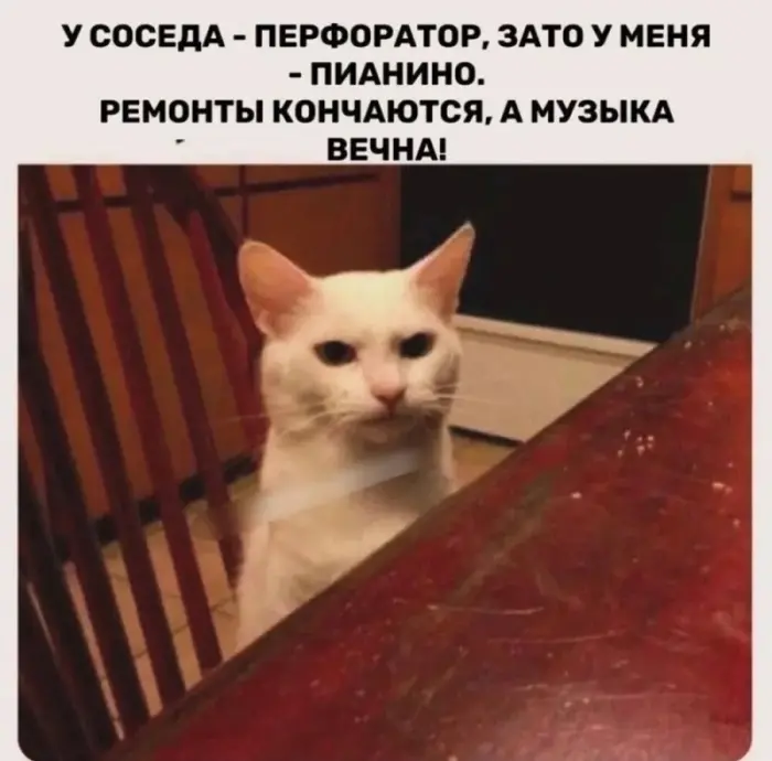 Смешно до слёз: мемы, приколы и весёлые картинки