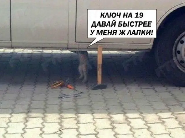 Смешные картинки и мемы: подборка юмора
