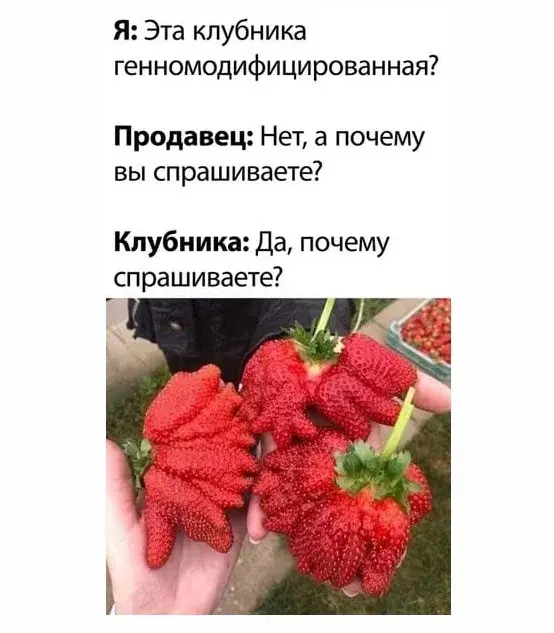 Странный юмор интернета