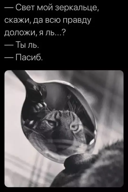 Свежая порция мемов, картинок и баянов