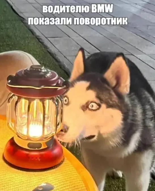 Свежий и не очень юмор