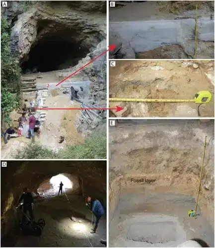 Учёные нашли в новозеландской пещере древний мир с загадочными организмами
