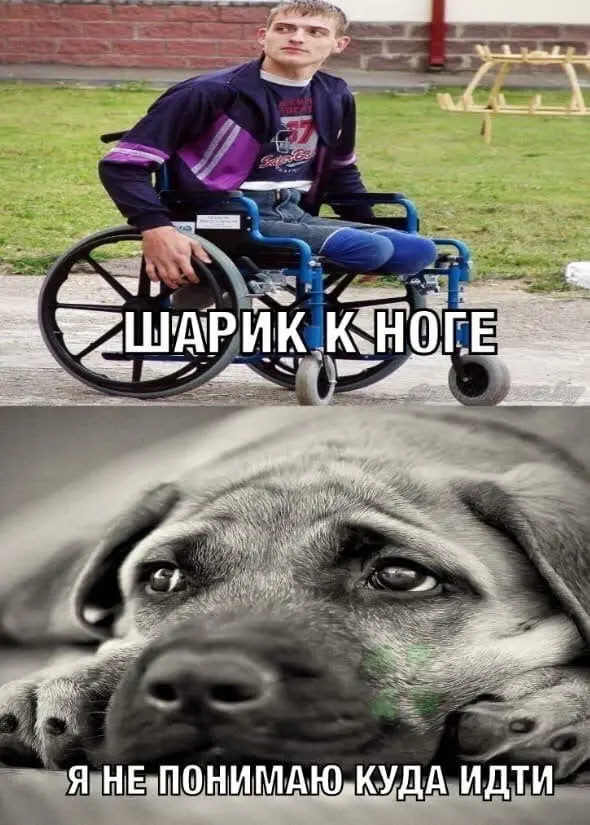 Улыбнитесь: новая подборка мемов
