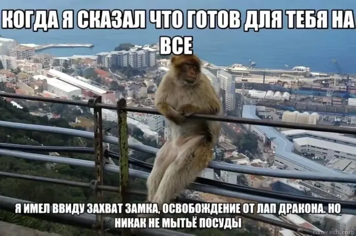Подборка картинок для расслабленного просмотра