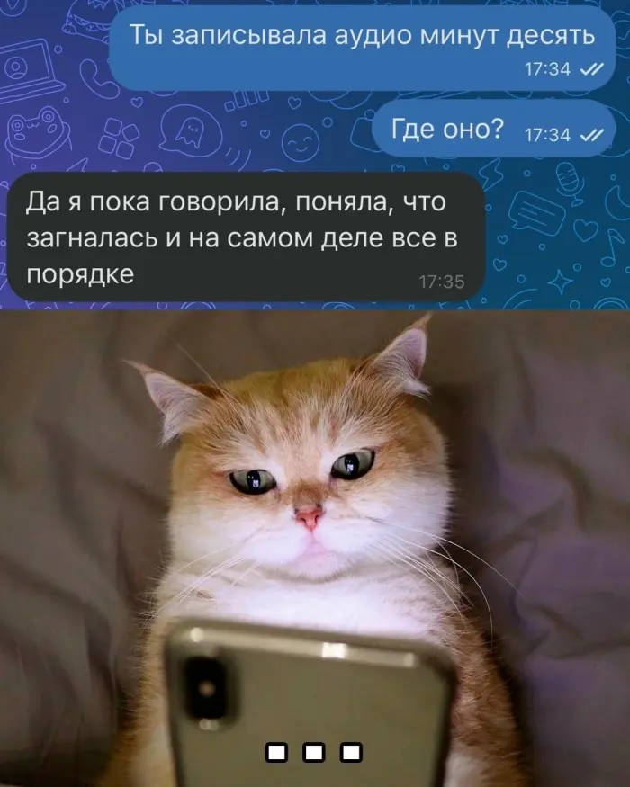 Дерзкие мемы, от которых невозможно оторваться