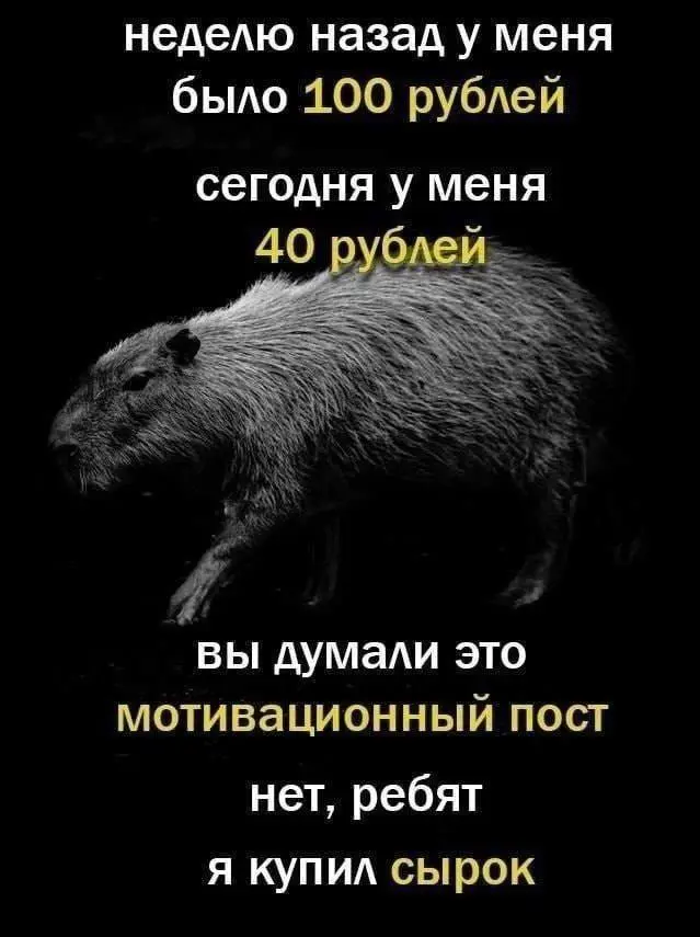 Подборка абсурдных шуток в картинках