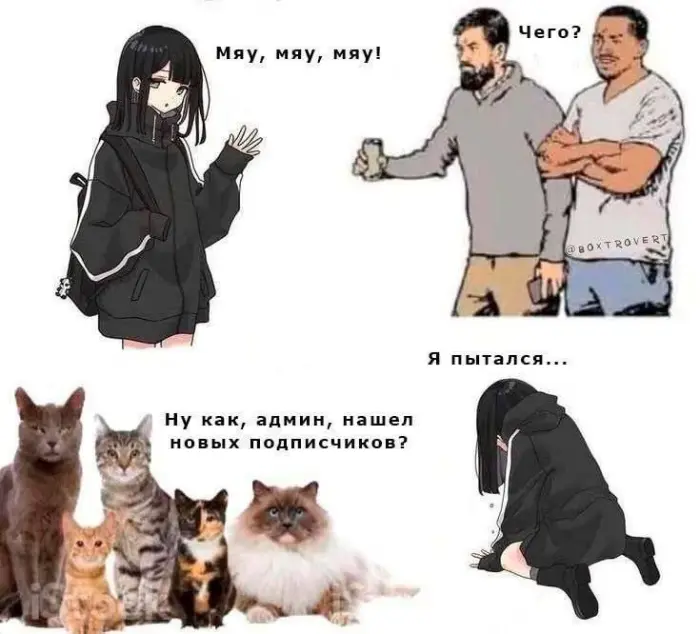 Мемы, от которых хочется смеяться до коликов