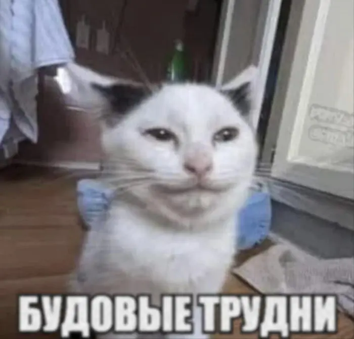 Смешные картинки, от которых трудно оторвать взгляд