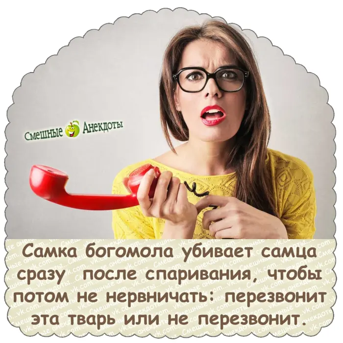 Подборка смешных анекдотов