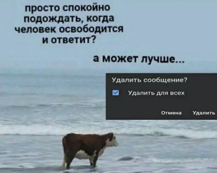Когда смех не вписывается в рамки