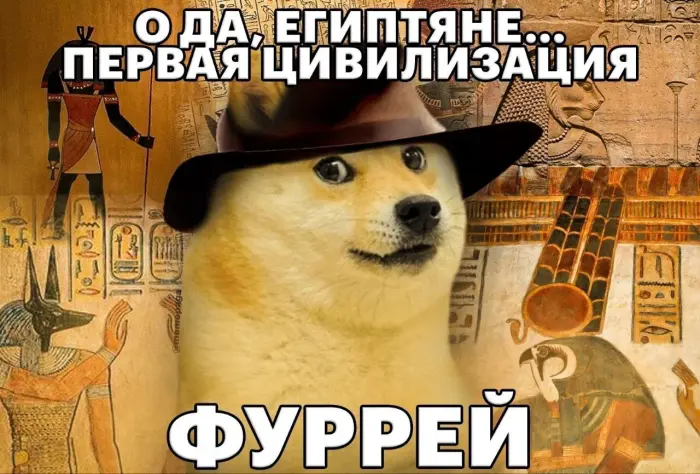 Подборка тупого юмора для поднятия настроения